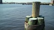 Pier Piling