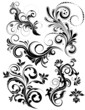 Vector floral pack Vector floral pack