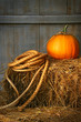 Pumpkin on a bale of hay