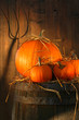 Pumpkins on wine barrel