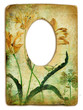 vintage floral frame