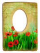 retro poppy flowers frame