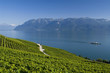 Lavaux et Lac Léman