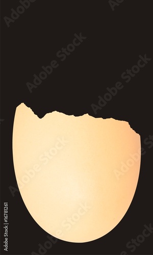 Illustration: Half an egg Half an egg