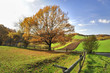 landwirtschaft