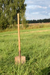 Shovel in green field Shovel in green field