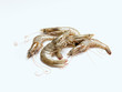 Garnelen (shrimps)
