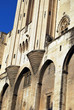 Mur du Palais des Papes Mur du Palais des Papes