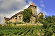 Burg Lichtenberg