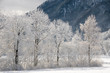 Winterlandschaft