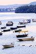 River boats on Danube