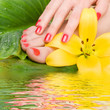 care for sensuality woman legs