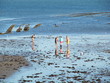pêcheurs à pied cherchant des coquillages