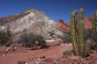 Cactus et Quebrada Cactus et Quebrada