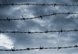Foto: Barbed wire Barbed wire
