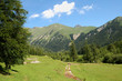 Paysage du Mercantour