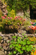 Rock Garden