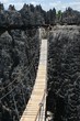 Pont de singe