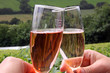Glasses of rose / red and white sparkling wine
