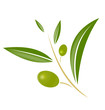Olives vertes