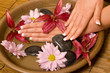 Woman's hands in water