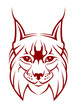 Head of lynx as a mascot isolated on white