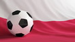 Poland football