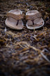 sandals by the seaside sandals by the seaside