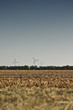 Shaved Field - Abgeerntetes Feld