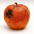 schrumpeliger apfel