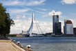 Le pont Erasmus, Rotterdam, Pays-bas.
