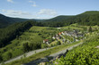 Schwarzwaldidylle