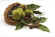 Castagne
