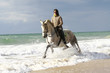 galopp am meer