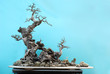 potted landscape