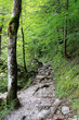 Wanderweg
