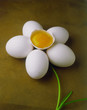 huevos en flor