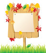 Vector wood