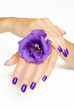 Manicure spa pampering with purple flower Manicure spa pampering with purple flower