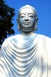 bouddha