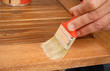 varnish