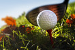 Golf club and ball in grass Golf club and ball in grass