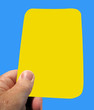 Yellow card for a warning two of these and you are sent off.