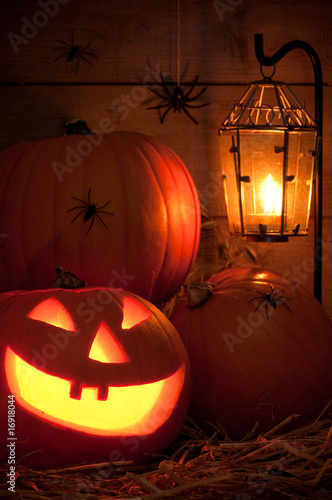 Photo: Halloween Jack O Lanterns Halloween Jack O Lanterns