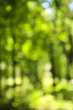 Green background Green background