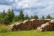 Foto: Brennholzstapel Brennholzstapel