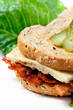 Western Sandwich