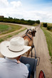 Horse and Buggy