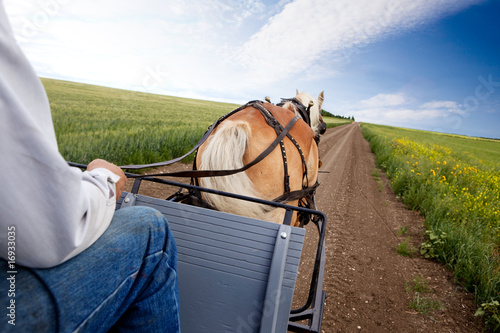 Photo: Horse and Cart Horse and Cart