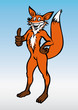 Fuchs_ok_Lis_Fox Fuchs_ok_Lis_Fox